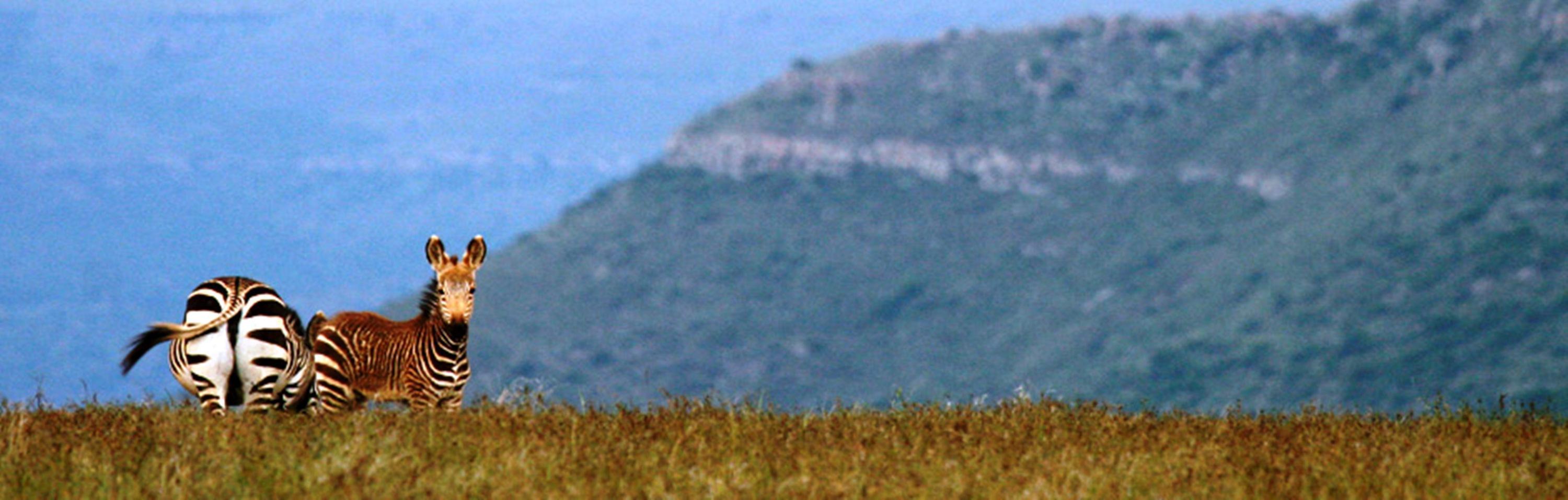 Mount Camdeboo Hotel Graaff-Reinet Kültér fotó