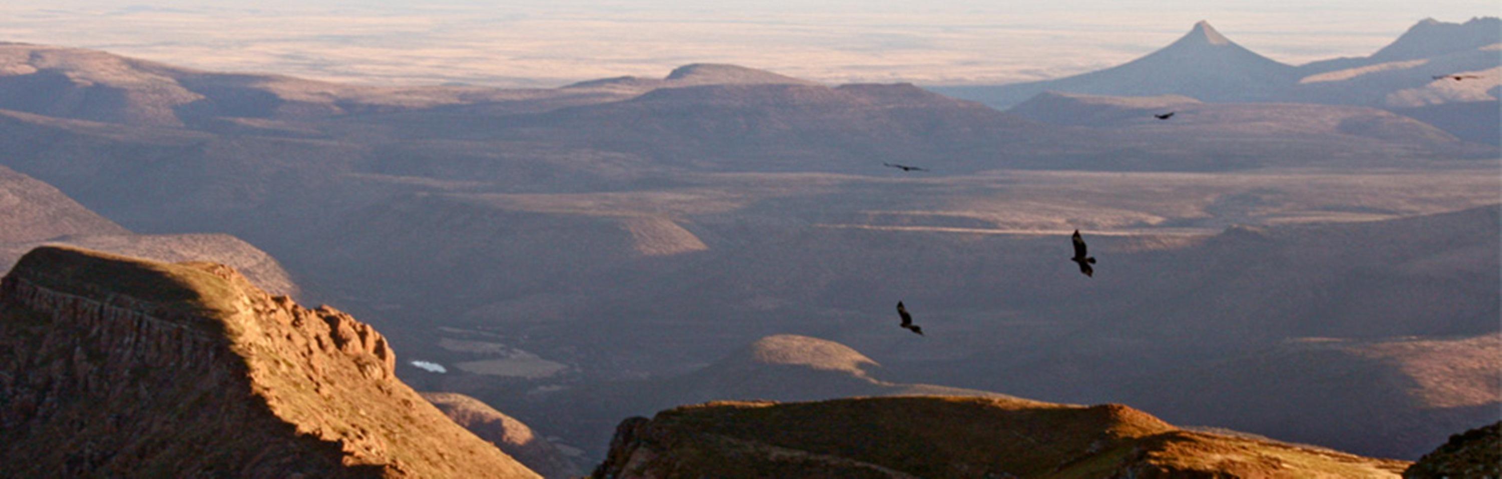 Mount Camdeboo Hotel Graaff-Reinet Kültér fotó