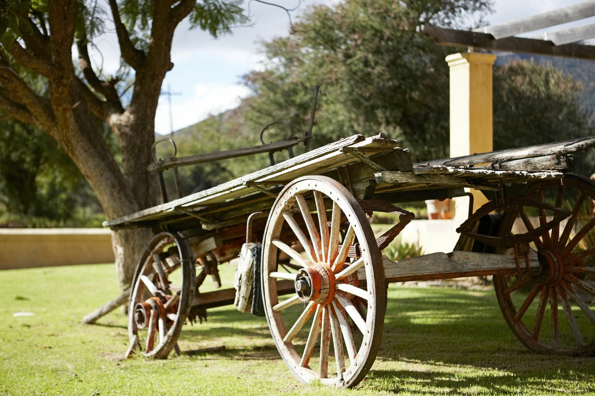 Mount Camdeboo Hotel Graaff-Reinet Kültér fotó