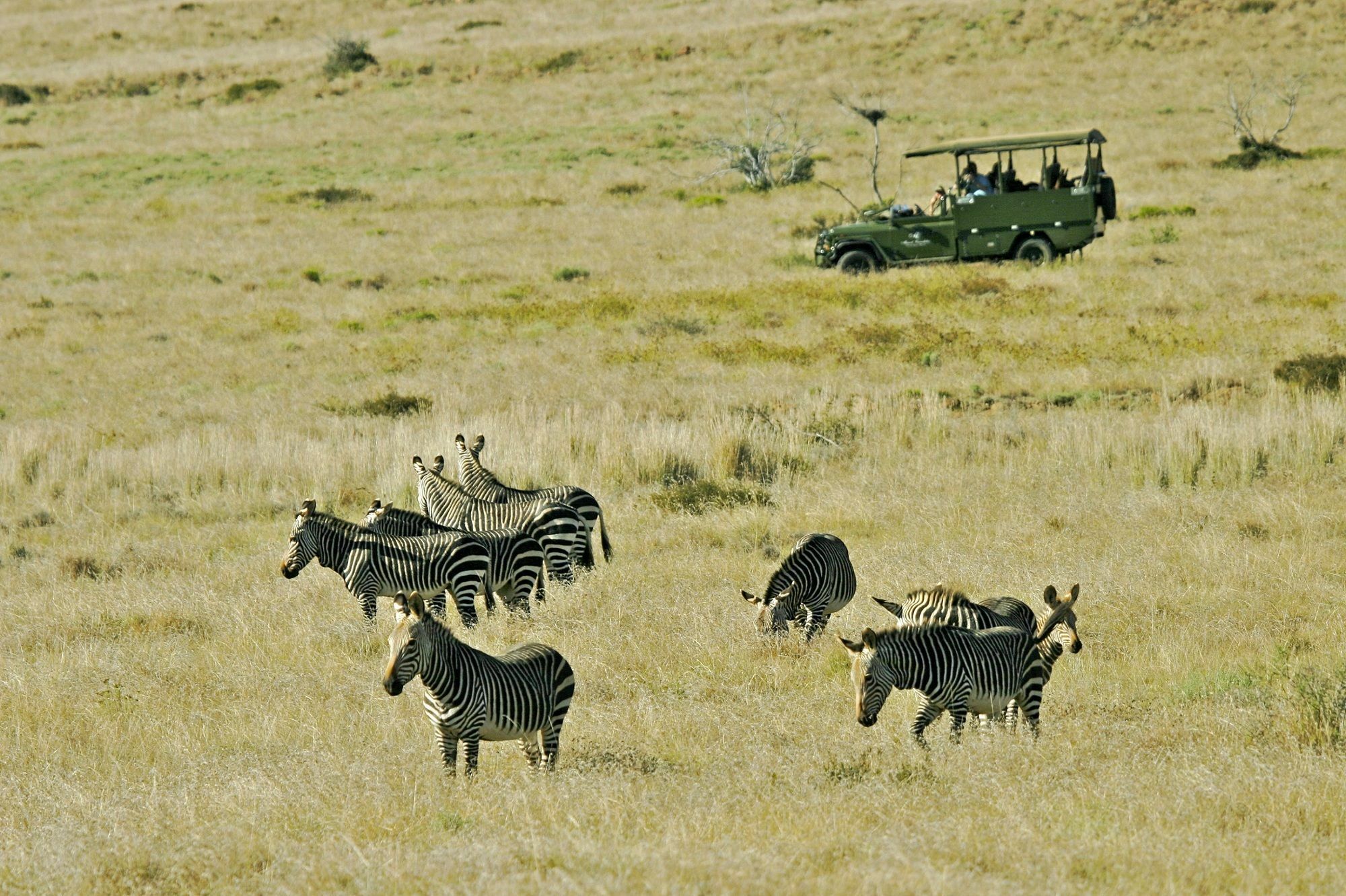 Mount Camdeboo Hotel Graaff-Reinet Kültér fotó